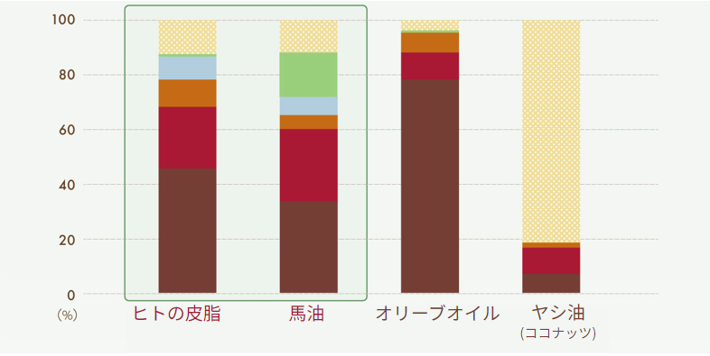 スクリーンショット 2024-06-05 150035